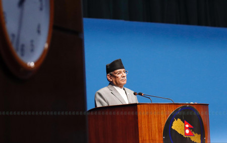 तस्बिर: नवीनबाबु गुरूङ